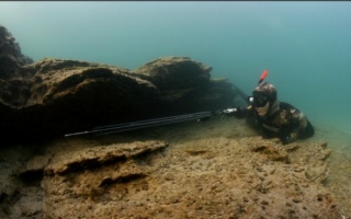  Pesca submarina 